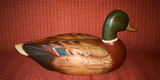 Vintage R D Lewis Mallard Duck Decoy VERY RARE and HUGE 2