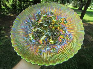 Northwood POPPY SHOW ANTIQUE CARNIVAL ART GLASS PLATE GREEN FANTASTIC EXAMPLE 10