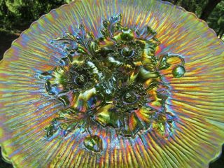 Northwood POPPY SHOW ANTIQUE CARNIVAL ART GLASS PLATE GREEN FANTASTIC EXAMPLE 11