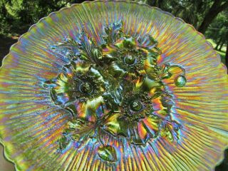 Northwood Poppy Show Antique Carnival Art Glass Plate Green Fantastic Example