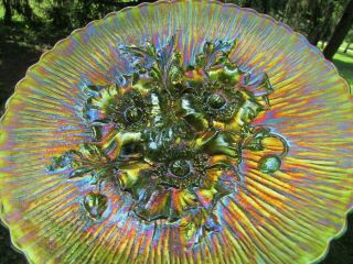 Northwood POPPY SHOW ANTIQUE CARNIVAL ART GLASS PLATE GREEN FANTASTIC EXAMPLE 5