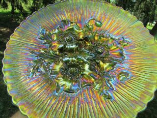 Northwood POPPY SHOW ANTIQUE CARNIVAL ART GLASS PLATE GREEN FANTASTIC EXAMPLE 7