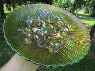 Northwood POPPY SHOW ANTIQUE CARNIVAL ART GLASS PLATE GREEN FANTASTIC EXAMPLE 8