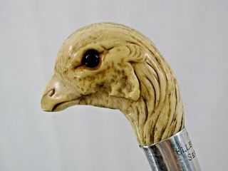 Rare Antique Walking Cane Stick Hand Carved Turkey Bird Magnificent 1910