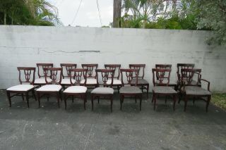 Mahogany Carved Set Of 14 Dining Chairs 9783