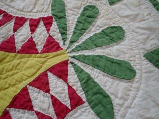 Pattern 19th c Whigs Defeat Twirling Bud Antique QUILT 10