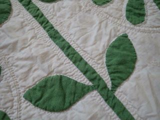Pattern 19th c Whigs Defeat Twirling Bud Antique QUILT 11