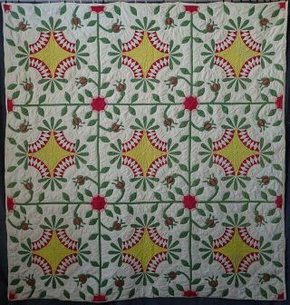 Pattern 19th C Whigs Defeat Twirling Bud Antique Quilt