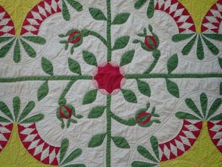Pattern 19th c Whigs Defeat Twirling Bud Antique QUILT 2