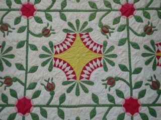Pattern 19th c Whigs Defeat Twirling Bud Antique QUILT 4