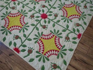 Pattern 19th c Whigs Defeat Twirling Bud Antique QUILT 6