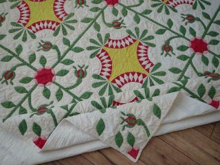 Pattern 19th c Whigs Defeat Twirling Bud Antique QUILT 7