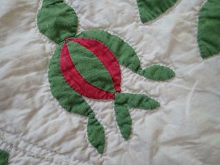 Pattern 19th c Whigs Defeat Twirling Bud Antique QUILT 8