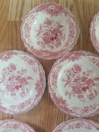 Bristol Old Hall Ware England Pink Birds Of Paradise Vintage Set Of Crown Ducal. 4