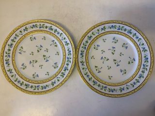 Vtg Limoges Raynaud “Morning Glory” Porcelain 9 Dinner Plates with Floral Dec. 2