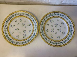 Vtg Limoges Raynaud “Morning Glory” Porcelain 9 Dinner Plates with Floral Dec. 3
