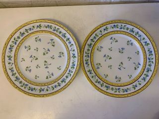 Vtg Limoges Raynaud “Morning Glory” Porcelain 9 Dinner Plates with Floral Dec. 4
