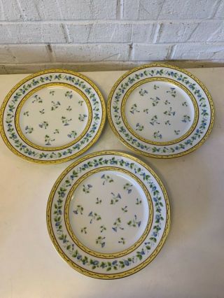 Vtg Limoges Raynaud “Morning Glory” Porcelain 9 Dinner Plates with Floral Dec. 5