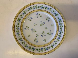 Vtg Limoges Raynaud “Morning Glory” Porcelain 9 Dinner Plates with Floral Dec. 6