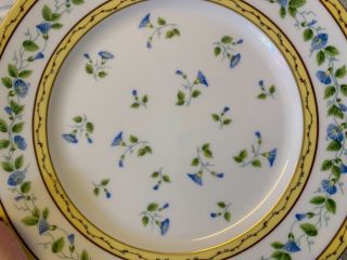 Vtg Limoges Raynaud “Morning Glory” Porcelain 9 Dinner Plates with Floral Dec. 7