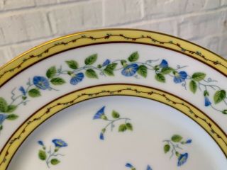 Vtg Limoges Raynaud “Morning Glory” Porcelain 9 Dinner Plates with Floral Dec. 8