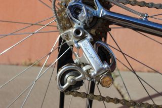 Rare Eddy Merckx Professional Lady Road Bike Campagnolo 50th Anniversary 5