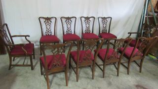 Set Drexel Dining Room Chairs Chippendale Mahogany Ten