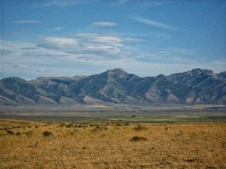 RARE AREA 40 ACRE NEVADA RANCH ONLY $295 DOWN & 0 INT.  NO CREDIT CHECK 12