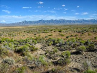 Rare Area 40 Acre Nevada Ranch Only $295 Down & 0 Int.  No Credit Check