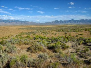 RARE AREA 40 ACRE NEVADA RANCH ONLY $295 DOWN & 0 INT.  NO CREDIT CHECK 2