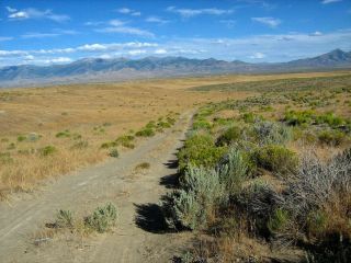 RARE AREA 40 ACRE NEVADA RANCH ONLY $295 DOWN & 0 INT.  NO CREDIT CHECK 3