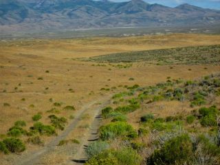 RARE AREA 40 ACRE NEVADA RANCH ONLY $295 DOWN & 0 INT.  NO CREDIT CHECK 4