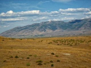 RARE AREA 40 ACRE NEVADA RANCH ONLY $295 DOWN & 0 INT.  NO CREDIT CHECK 5