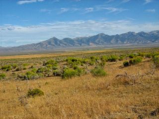 RARE AREA 40 ACRE NEVADA RANCH ONLY $295 DOWN & 0 INT.  NO CREDIT CHECK 7