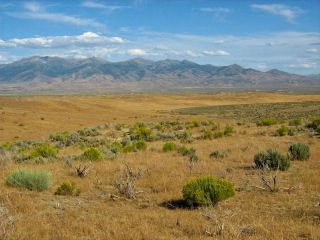 RARE AREA 40 ACRE NEVADA RANCH ONLY $295 DOWN & 0 INT.  NO CREDIT CHECK 8