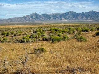 RARE AREA 40 ACRE NEVADA RANCH ONLY $295 DOWN & 0 INT.  NO CREDIT CHECK 9
