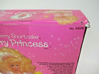 Vintage Strawberry Shortcake Berry Princess Berrykin; Complete Doll 6