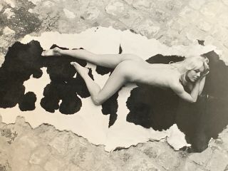 Vintage 1960 - 70’s 8x10 Art Posed Nude Model Lanolie On Cow Rug By Serge Jacques