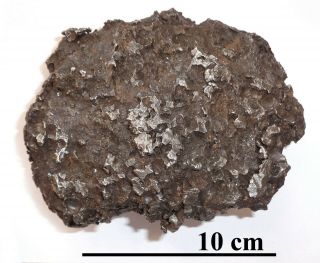 Rare Meteorite Sericho,  Pallasite,  Kenya,  Complete Cleaned Piece,  1855 Grams