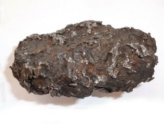 RARE Meteorite Sericho,  pallasite,  Kenya,  complete cleaned piece,  1855 grams 3