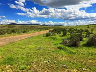 Rare 80 Acre Nevada Ranch Ez Access Paved Road Surveyed Cash