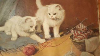 Outstanding Lrg.  Antique Painting Of Playful White Kittens Cat 20x24
