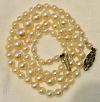 - Vintage Saltwater Akoya Cultured Pearl Necklace