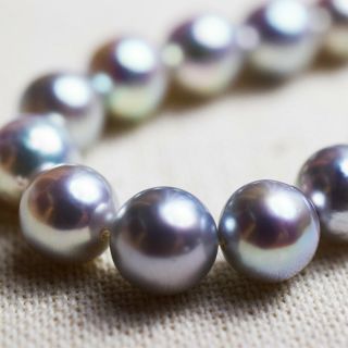 Certified Rare K18yg 8 - 8.  5mm Natural Blue Real Akoya Pearl Necklace From Japan