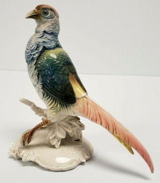 Rare Pheasant 6882 Vintage Karl Ens Porcelain Germany Bird Figurine