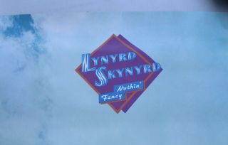 Rare Lynyrd Skynyrd Nuthin ' Fancy Album Promo Poster Vintage MCA Rock 3
