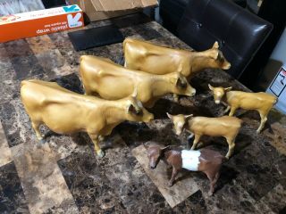 6 Vintage Breyer Jersey Cow And Calf Set Rare Usa Stamp Horn Polled