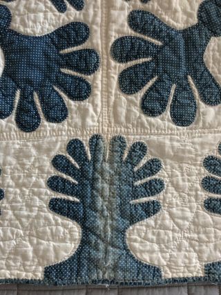 Antique 1800’s Applique Blue & White Oak Leaf QUILT Handmade Stitched Initials 10