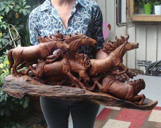 Magnificent Ca 1900 Hand Carved 7 Wild Stallions (horses),  31 " Long