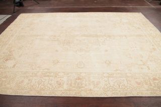 Antique Geometric Muted Beige Tan Distressed Oriental Area Rug Hand - Knotted 8x11